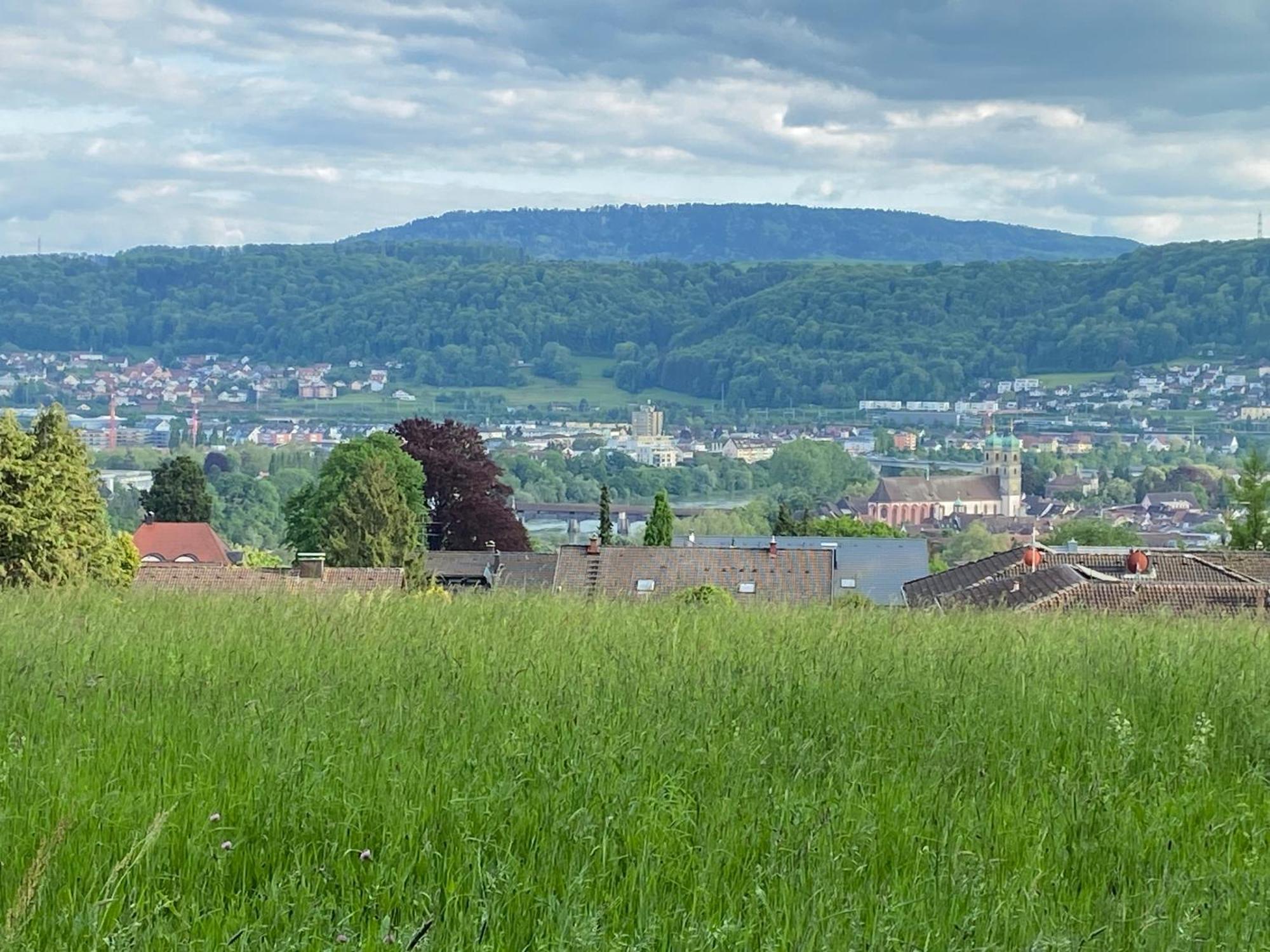 Stilvolle Wohnung In Idyllischer Lage 바드사킹겐 외부 사진